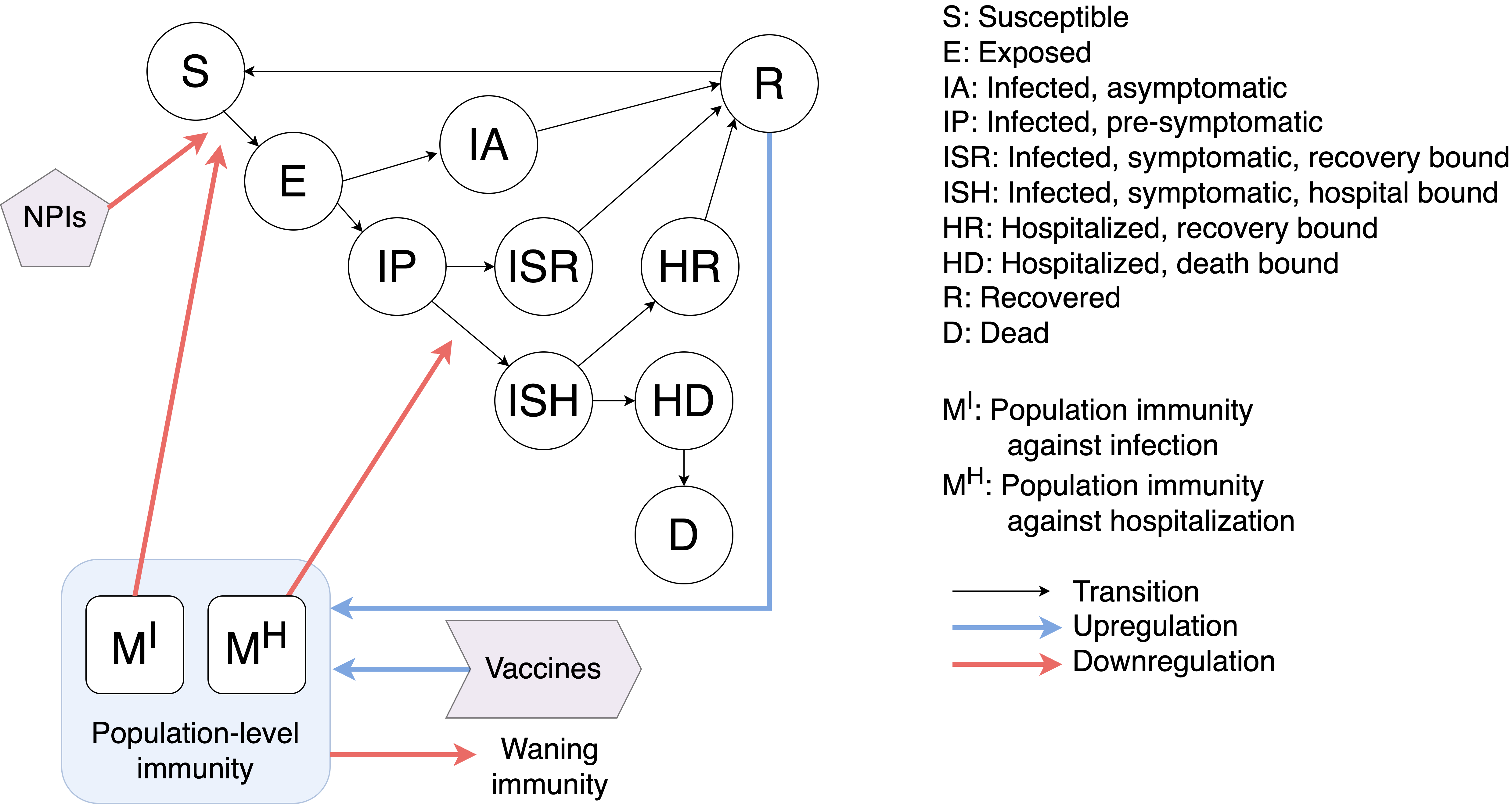 flu_model_diagram